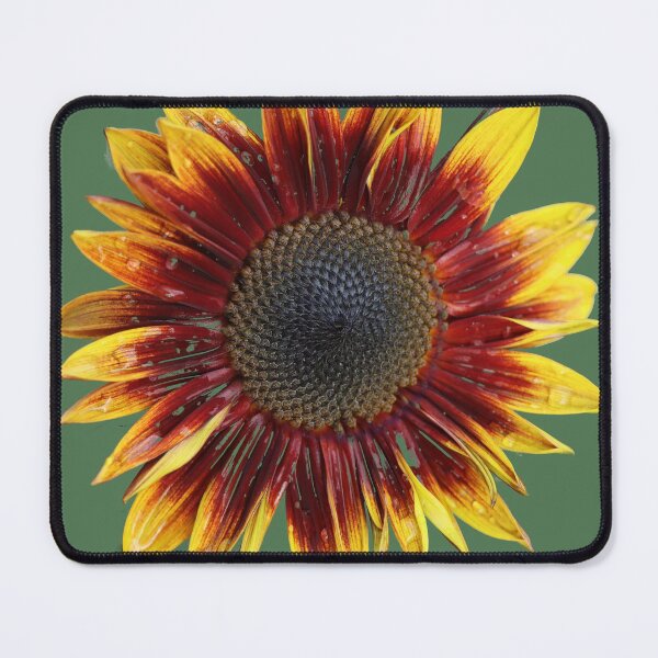 Item preview, Red Sun Flower With Yellow Tips designed and sold by Tom Janca.