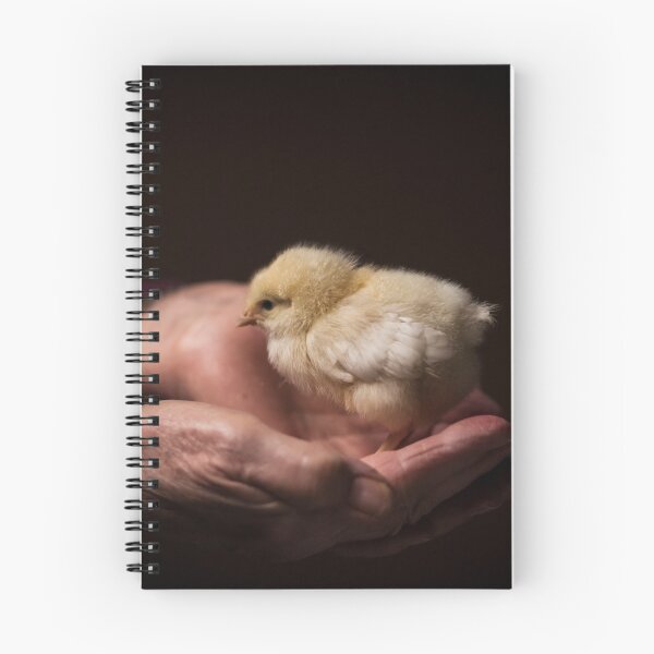 Item preview, Yellow Chick designed and sold by Laura McOrmond.