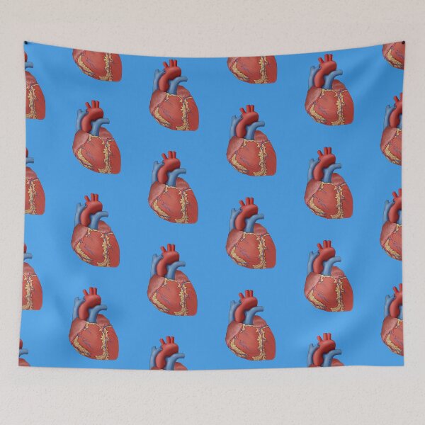 Item preview, Medical Illustration of the Anatomy of the Human Heart, Illustration designed and sold by ScienceSource.