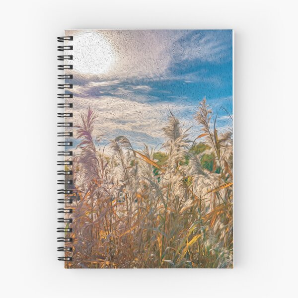 Item preview, Field of common reeds under the evening sun light - designed and sold by FelCastro.