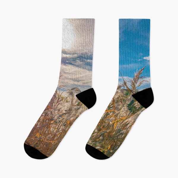 Item preview, Field of common reeds under the evening sun light - designed and sold by FelCastro.