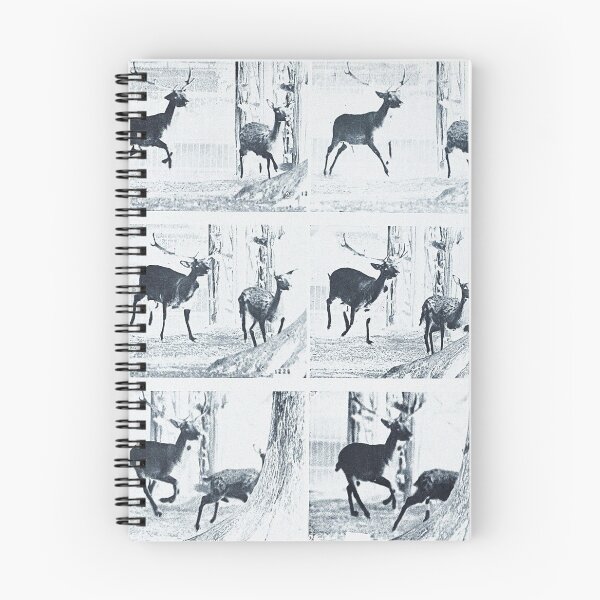 Item preview, Animal Locomotion - Eadweard Muybridge designed and sold by 4You4U.