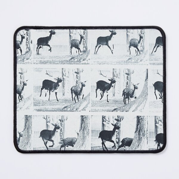 Item preview, Animal Locomotion - Eadweard Muybridge designed and sold by 4You4U.