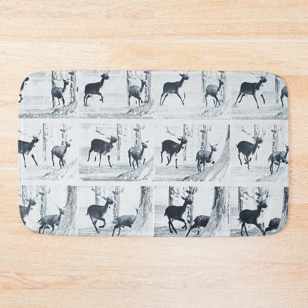 Item preview, Animal Locomotion - Eadweard Muybridge designed and sold by 4You4U.