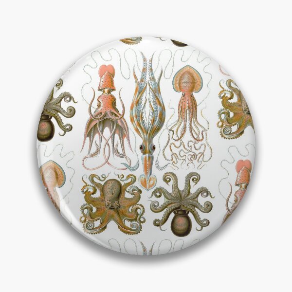 Item preview, Ernst Haeckel Gamochonia Octopus designed and sold by aimeewilson.