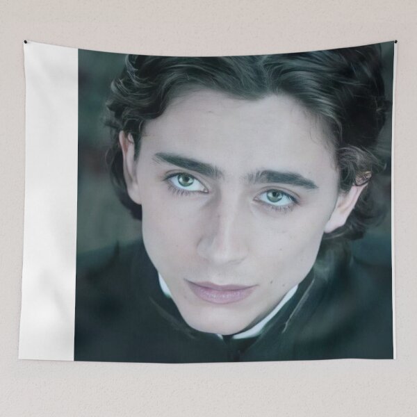 Aperçu de l'œuvre timothee chalamet  créée et vendue par torzsharp.