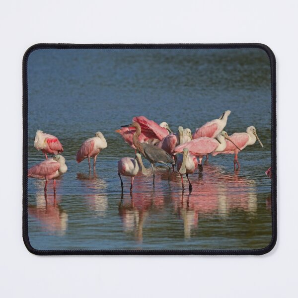 Item preview, Among the Spoonies designed and sold by Michiale.
