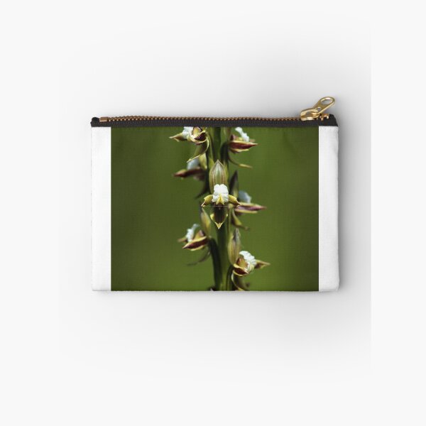 Item preview, Leek Season 3 designed and sold by Keren Smithies.