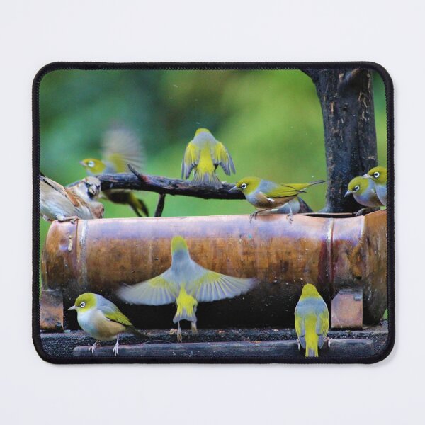 Item preview, Waxeye birds at feeder designed and sold by Louisa Sahin.
