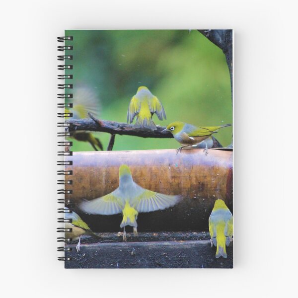 Item preview, Waxeye birds at feeder designed and sold by Louisa Sahin.