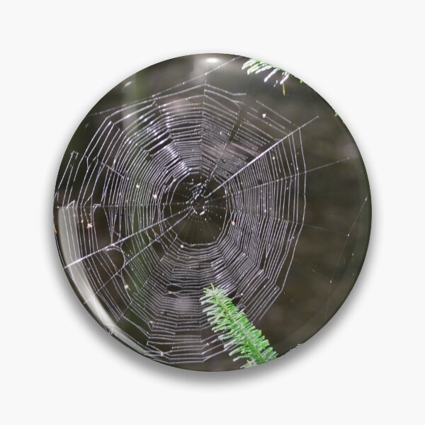 Item preview, Spider web Spruce Branches designed and sold by enchantedvibes.