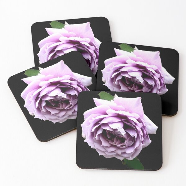 Item preview, Rose of Magical Mauve designed and sold by KazM.