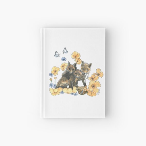 Three Baby Kits Hardcover Journal