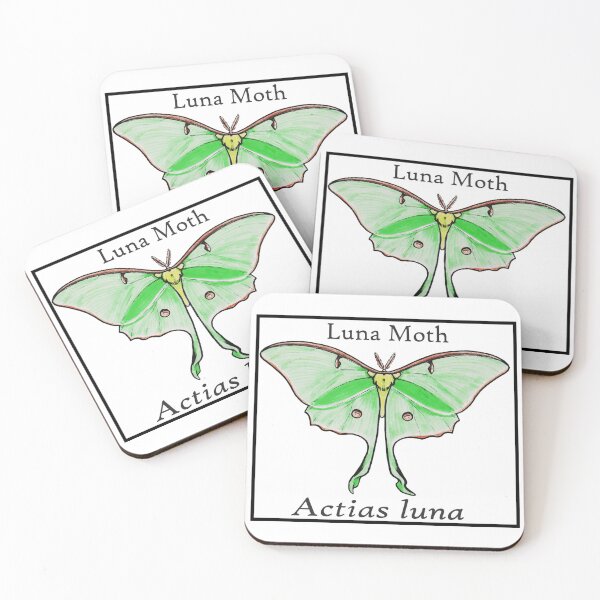Item preview, Luna Moth Labeled designed and sold by Paigeart4sale.