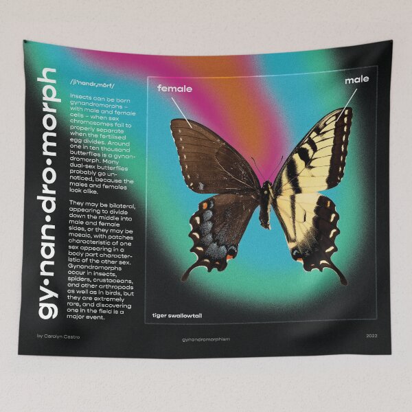 Item preview, Gynandromorph designed and sold by carolyn-castro.
