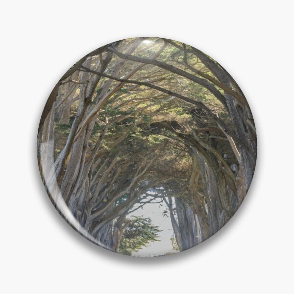 Item preview, Iconic Cypress Tree Tunnel at Point Reyes designed and sold by yhelfman.