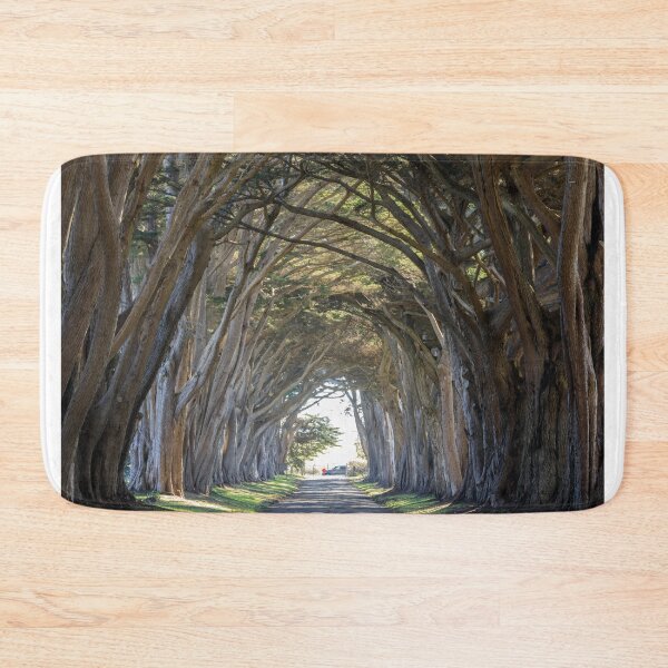 Item preview, Iconic Cypress Tree Tunnel at Point Reyes designed and sold by yhelfman.