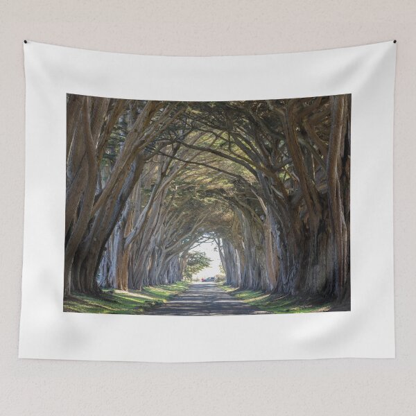 Item preview, Iconic Cypress Tree Tunnel at Point Reyes designed and sold by yhelfman.