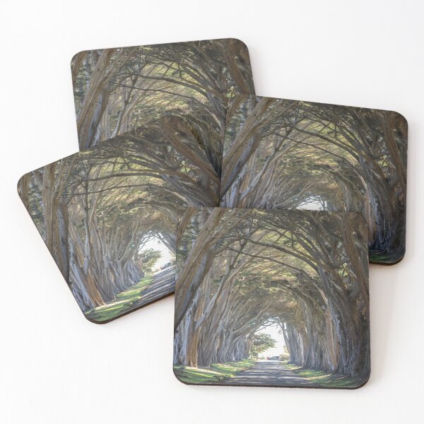 Item preview, Iconic Cypress Tree Tunnel at Point Reyes designed and sold by yhelfman.