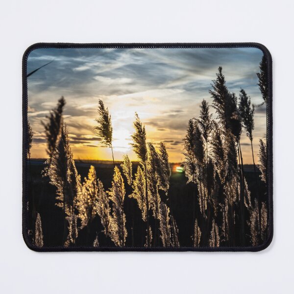 Item preview, Summer Sunset designed and sold by ZenPhotoStudio.