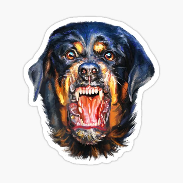 8-Quart Digital Air Fryer