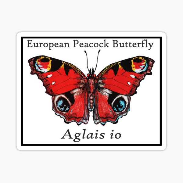 Animal Autocollant Peacock Butterfly Vinyle Autocollant peint à la main Acrylique Autocollant