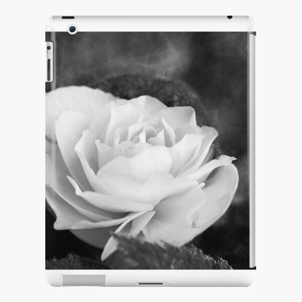 Rose Begonia In Black And White iPad Snap Case
