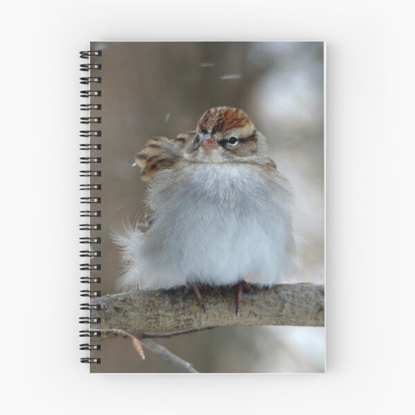 Item preview, Colgando de designed and sold by Christine Peileke.