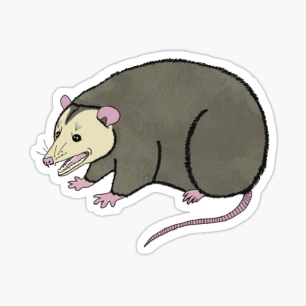 Only Opossums Sticker
