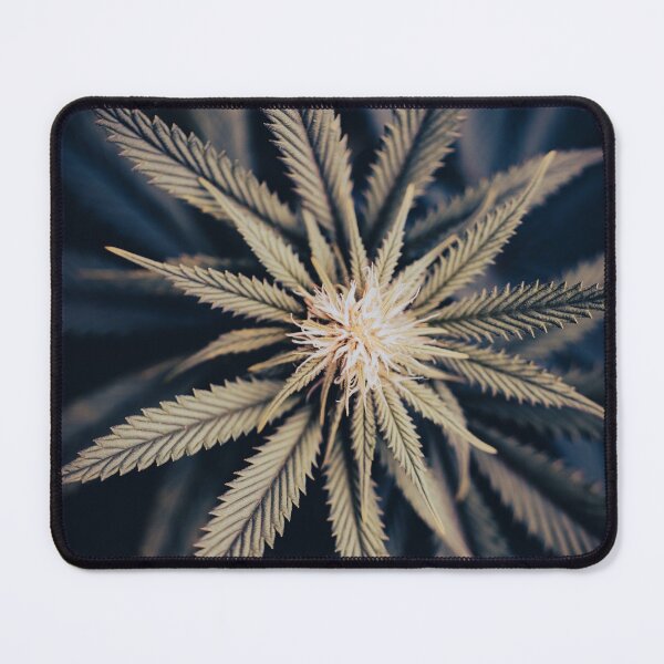 Item preview, Brilliant Bud designed and sold by Maddie4Real.