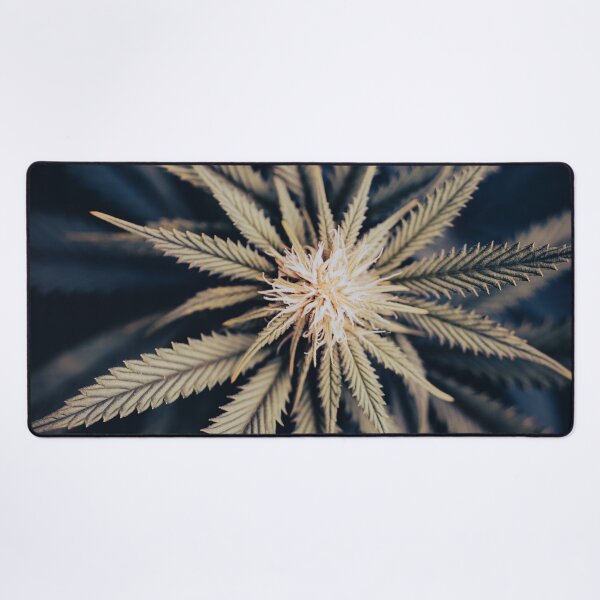Item preview, Brilliant Bud designed and sold by Maddie4Real.