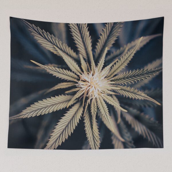Item preview, Brilliant Bud designed and sold by Maddie4Real.
