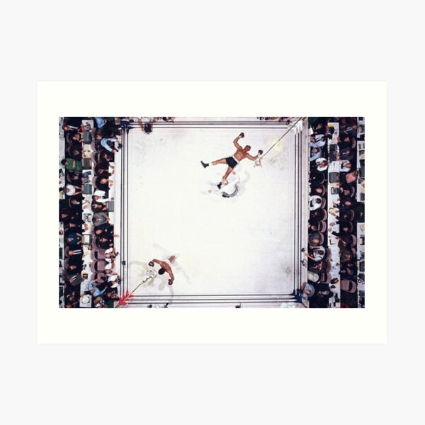 Boxing ring Impression artistique
