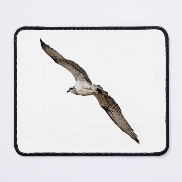 Item preview, Brown Falcon designed and sold by BeccaJaneDesign.