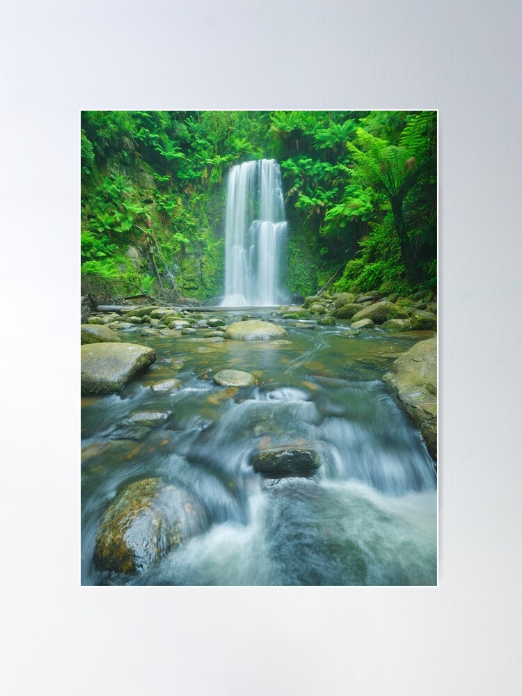 Thumbnail 2 of 3, Poster, Beauchamp Falls, Great Otway National Park, Victoria, Australia designed and sold by Chockstone.