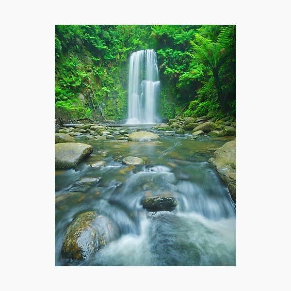 Photographic Print