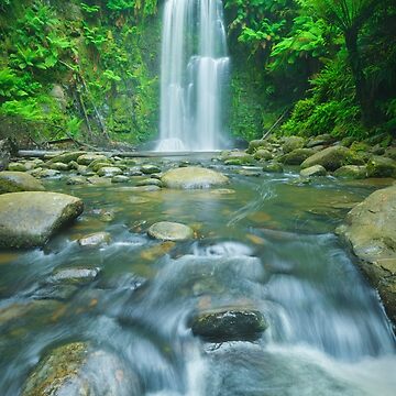 Artwork thumbnail, Beauchamp Falls, Great Otway National Park, Victoria, Australia by Michael Boniwell