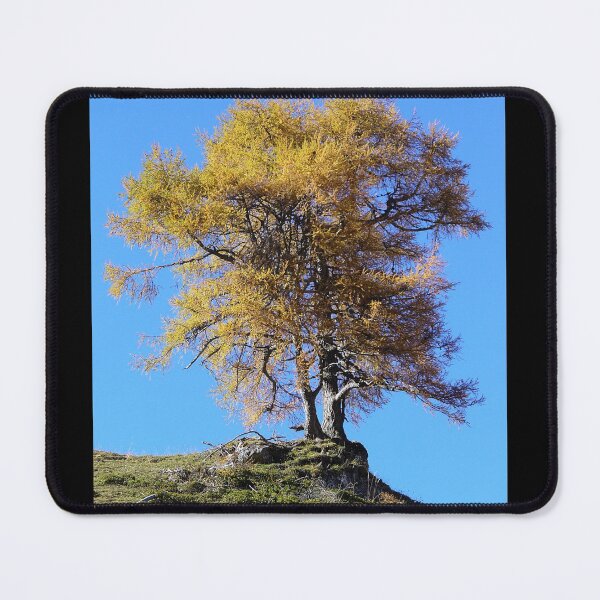 Item preview, Autumn Tree designed and sold by Birgit Moldenhauer.