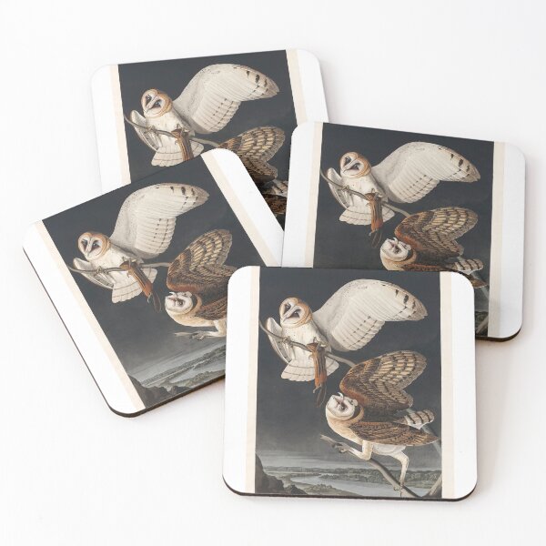 Item preview, Barn Owl from Birds of America (1827) by John James Audubon designed and sold by aksanchen.