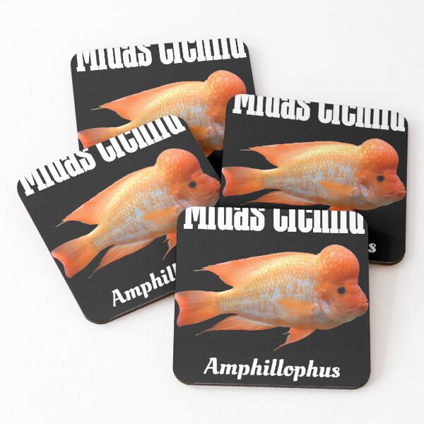 Item preview, Midas Cichlid Essential T-Shirt designed and sold by NancyNewell.