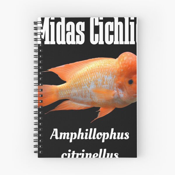 Item preview, Midas Cichlid Essential T-Shirt designed and sold by NancyNewell.