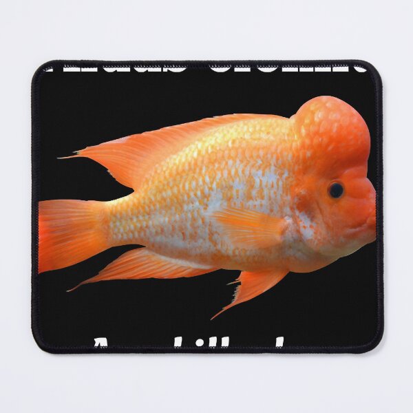 Artikelvorschau, Midas Cichlid Essential T-Shirt entworfen und verkauft von NancyNewell.