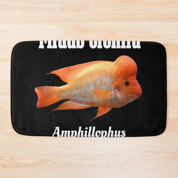 Item preview, Midas Cichlid Essential T-Shirt designed and sold by NancyNewell.