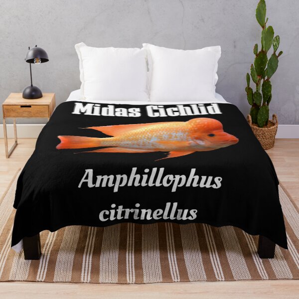 Item preview, Midas Cichlid Essential T-Shirt designed and sold by NancyNewell.
