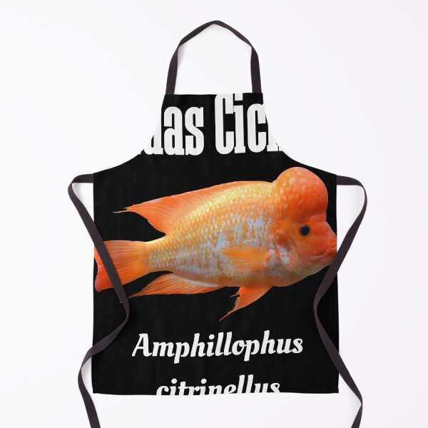 Item preview, Midas Cichlid Essential T-Shirt designed and sold by NancyNewell.