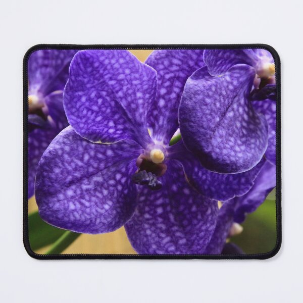 Vanda Orchid Flowers Mouse Pad