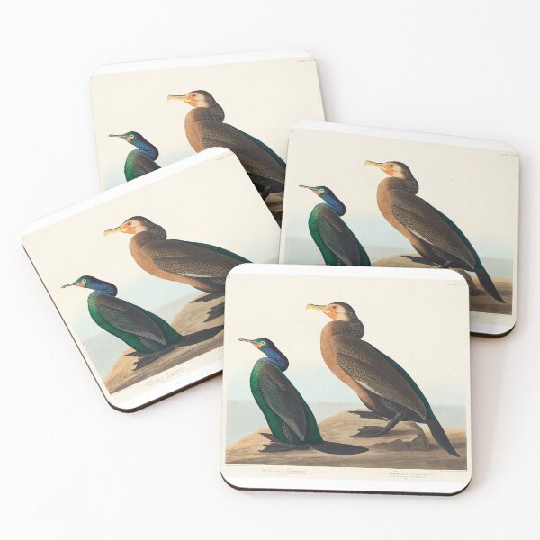 Item preview, Violet-green Cormorant and Townsend's Cormorant from Birds of America (1827) by John James designed and sold by aksanchen.