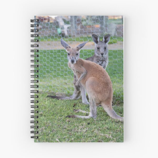 Item preview, Roos designed and sold by terryhewitt.