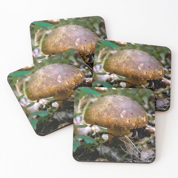 Item preview, The beauty and diversity of the mushroom world. designed and sold by Mikhail12358.