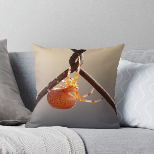 Item preview, Orange Marbled Orb Weaver designed and sold by elasita.